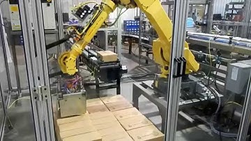 Robotic Case Packing and Palletizing System