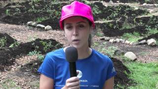 MEVO Farm Hunger Relief Volunteer Event screenshot 5