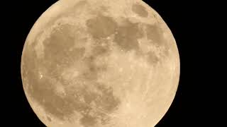 Полная Луна 23 апреля 2024 г.