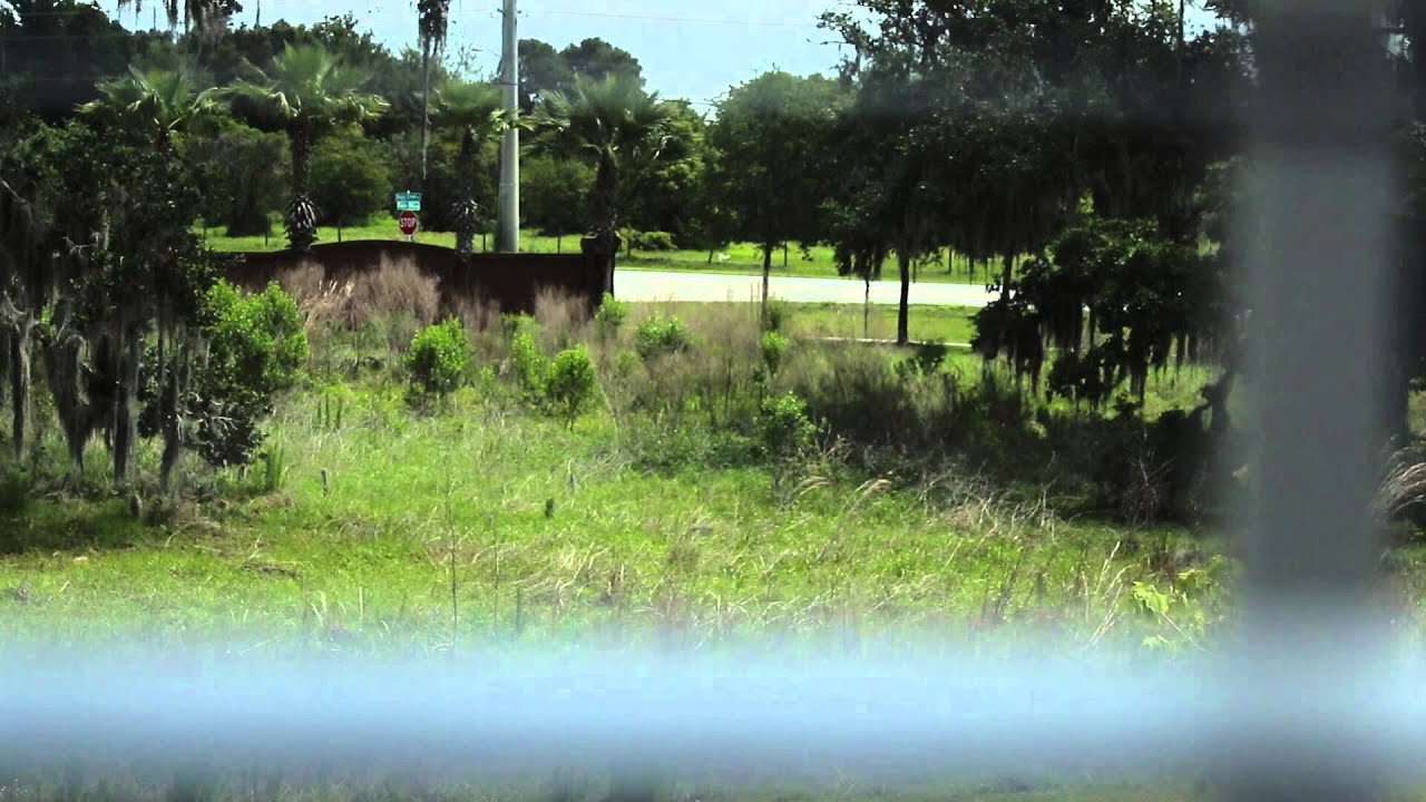 1920x1080.24p canon t4i wdj video