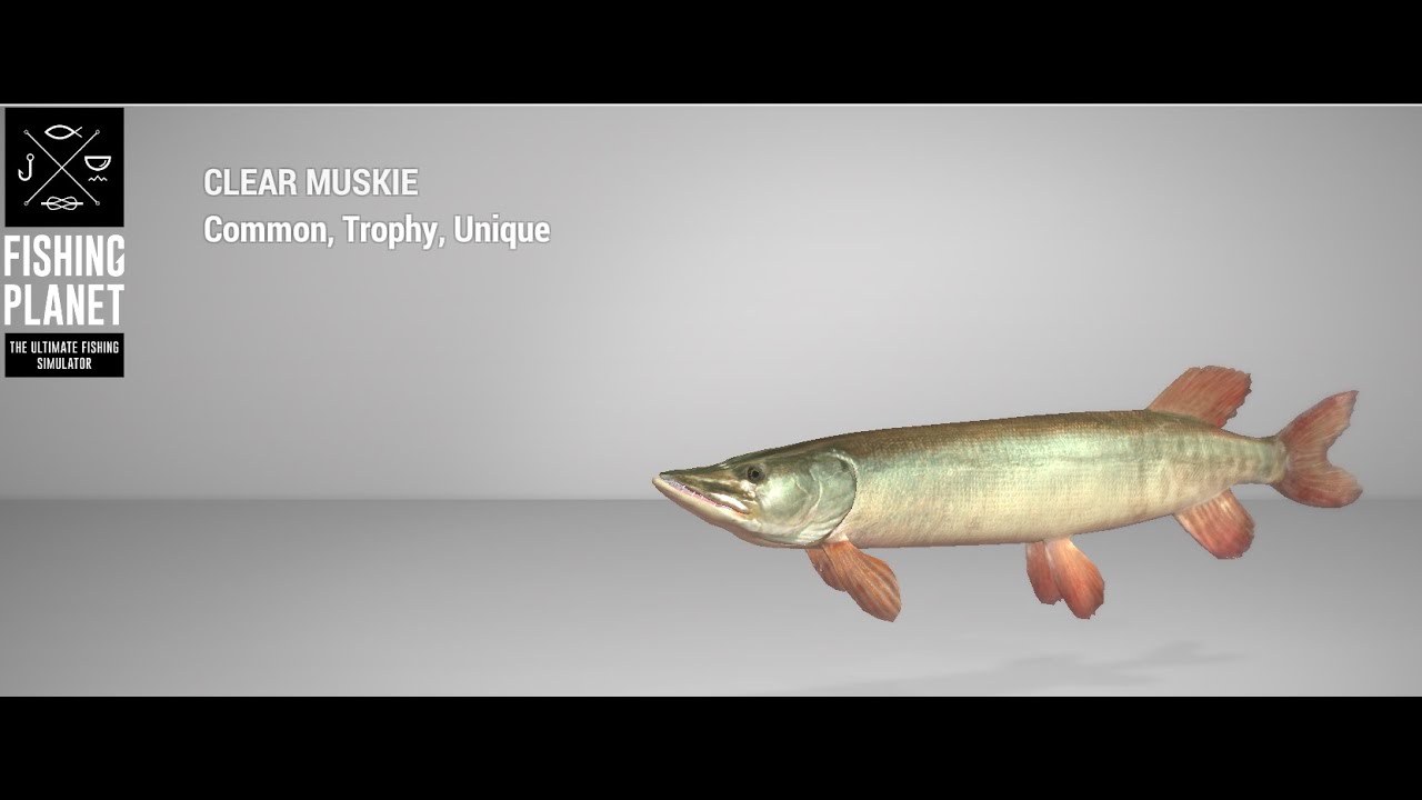 Fishing Planet - Saint Croix Lake - Unique - Clear Muskie -Spin
