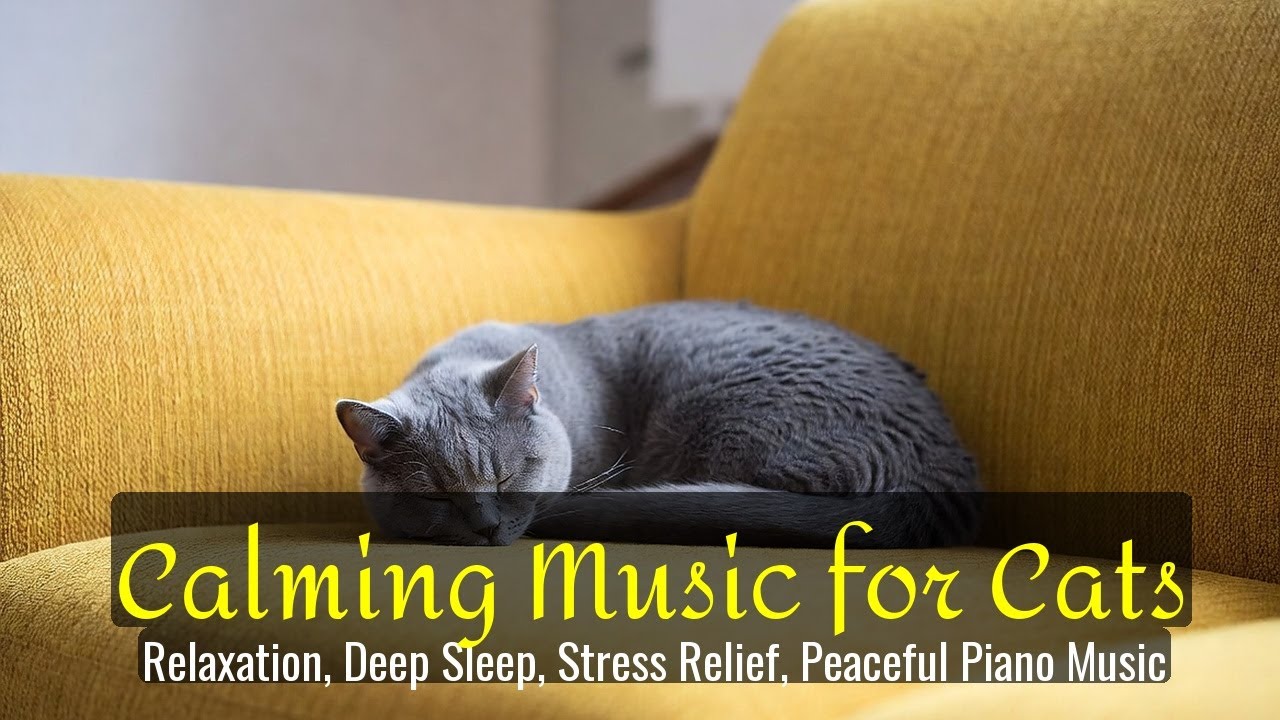 Calming Music for Cats - Relaxation, Deep Sleep, Stress Relief, Peaceful Piano Music | Season 52