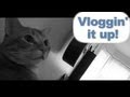 &quot;Deep Thoughts&quot; with Ike (vloggin&#39; 8/7/13)