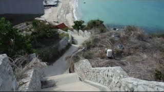 This is what You'll See Snorkeling Koh Larn, the closest island with a beach to Bangkok.
