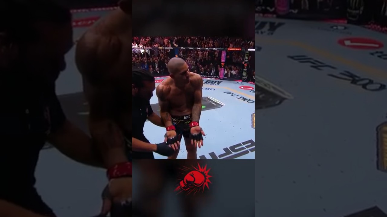 Alex Pereira vs. Jamahal Hill