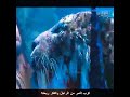 فيلم ماقبل الميلاد