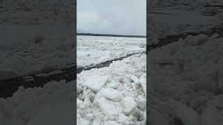 1 мая. обстановке на реке Печора. ледоход остановился . #рыбалка #реки #весна