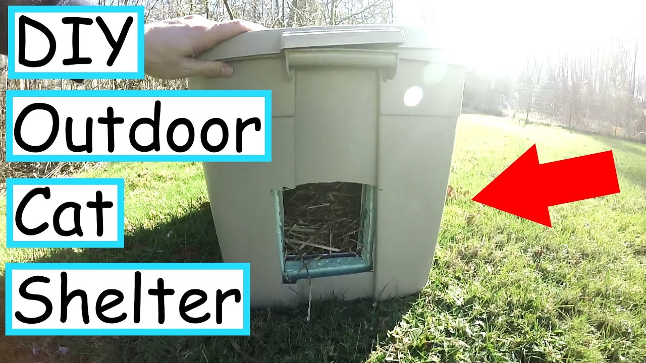 DIY Outdoor Cat Shelter - YouTube