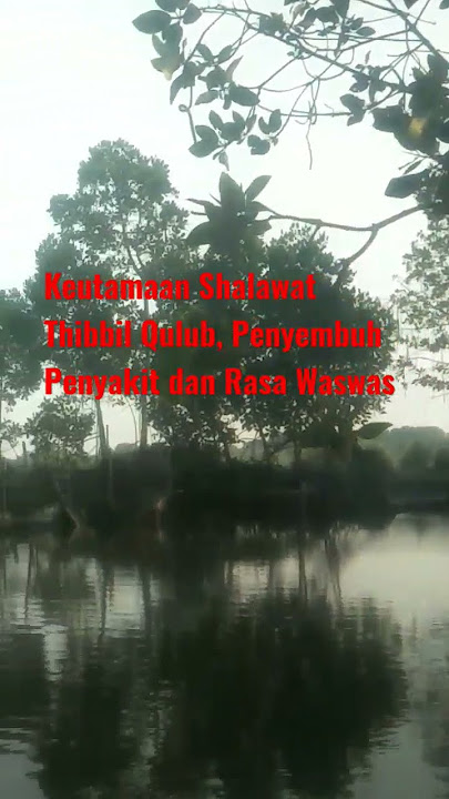 Fadilah sholawat tibil kulup#shots