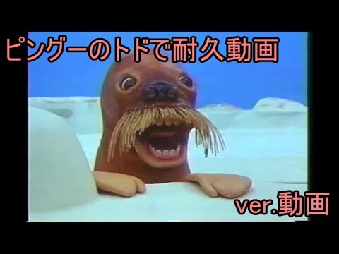 耐久動画 ピングーのトドをただ見つめる動画 Ver 動画 Youtube