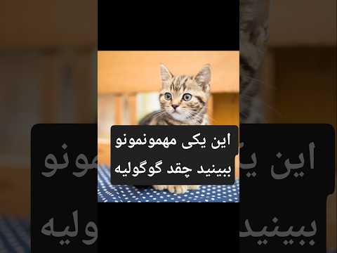 من موندم این پیشیارو از کجا پیدا میکنن    