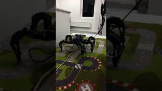 Hexapod 2