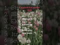 can you guess the k-pop groups #braintest #solvepuzzle #kpop #bts #blackpink #exo#redvelvetreaction