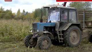 видео Даешь ДВ-гектар! — границы приняты, предварительное согласование получено