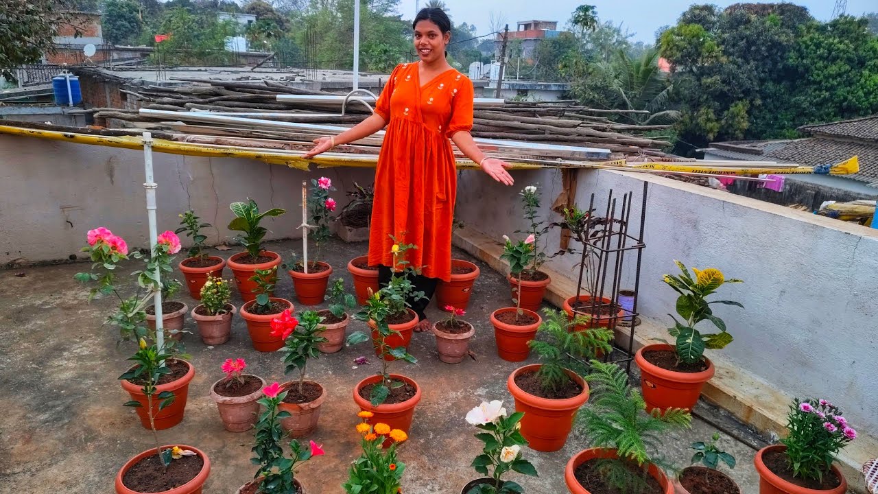 Kitne sundar sundar flower hai🤩