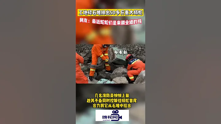 廣東東莞：工地碎石堆掉出50多斤重大蟒蛇 - 天天要聞