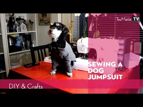 Video: How To Tie A Dog Jumpsuit