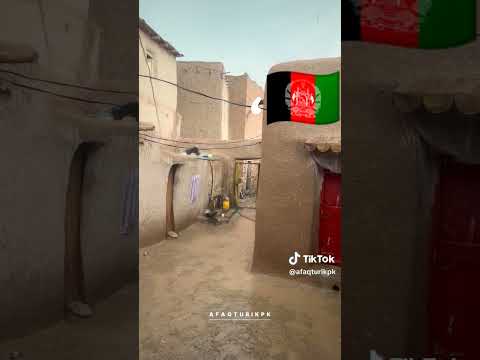    پشتو ټيک ټاک
