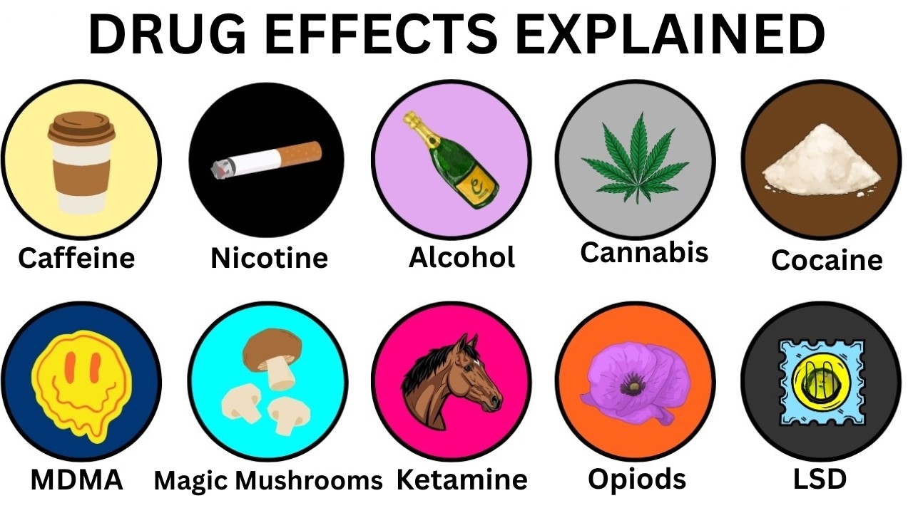 Every Drug and Its Effects Explained in 17 Minutes