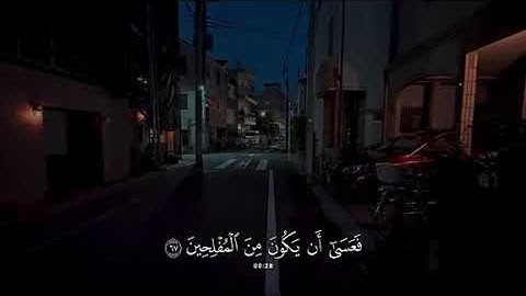 جزء 15 | تلاوة هادئة آيات من سورة القصص بصوت جدًا جميل - محمد بوحسون ✨ .