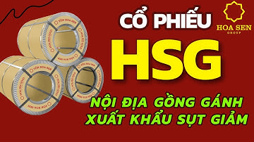 HSG - Phân tích cổ phiếu ngành thép: Nội địa gồng gánh, xuất khẩu lao dốc | Triển vọng 2025 🚀