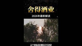 舍得酒业2026年最新基本面解读 #舍得酒业 #基本面分析