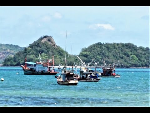 Coffee at Sattahip Naval Base