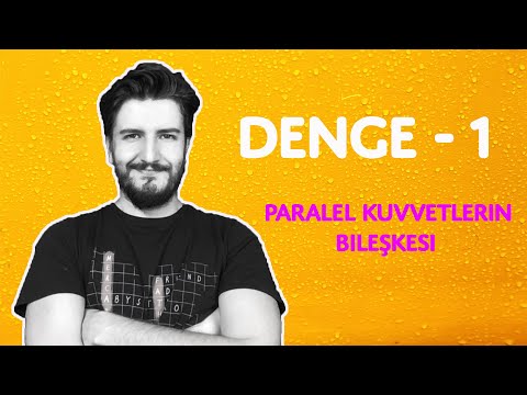 Denge - 1 | Paralel Kuvvetlerin Dengesi | Deney + PDF