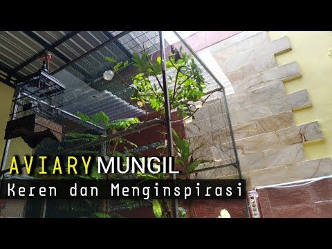UKURAN AVIARY MINI