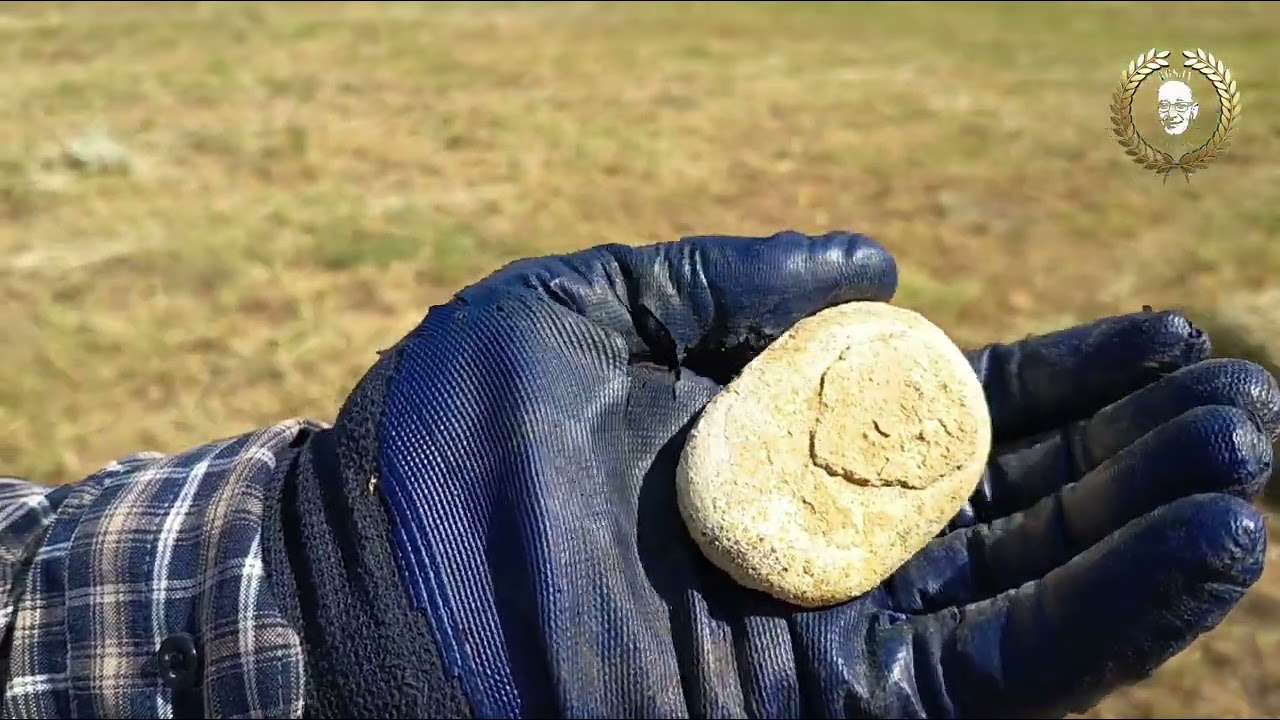 Bayburt (Yeniköy 2025) Blm-7