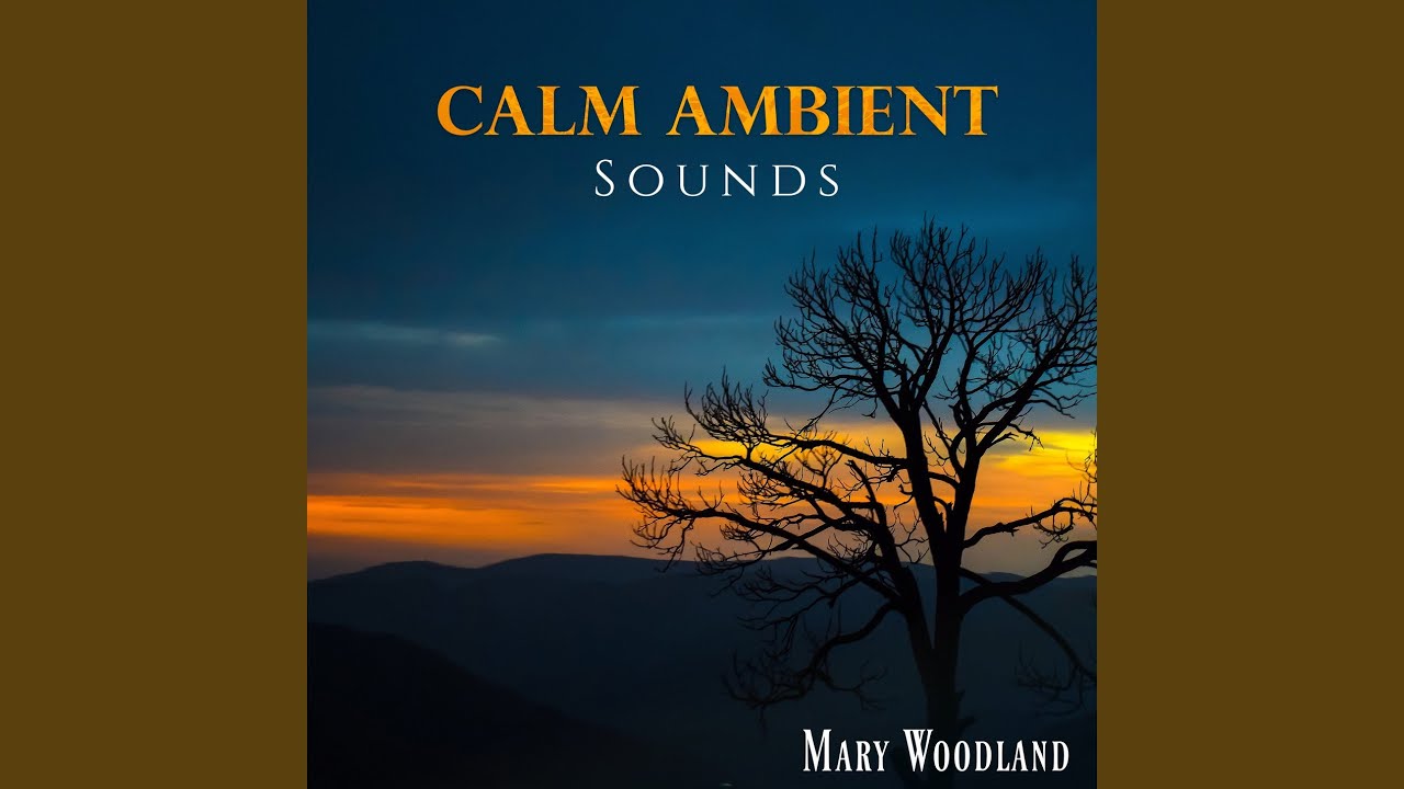 Ambient sound 4. Calm Ambient. Ambient Sounds. Sound Ambient Sounds. Ambient Sounds мод.