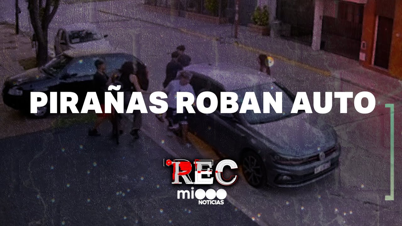 PIRAÑAS ROBAN AUTO - CHOCAN CON EL VIDRIO #REC