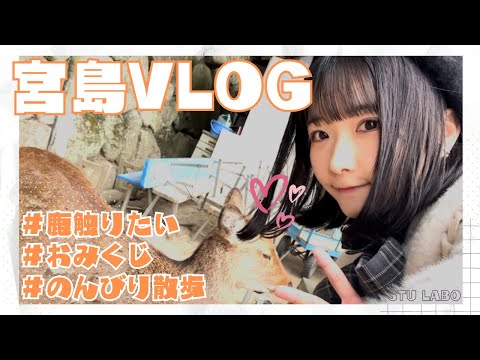 【STU LABO】高雄さやか 鹿VLOG 〜サヤゴロウどうぶつ王国 宮島鹿王国編〜 (毎週月曜20:00更新)