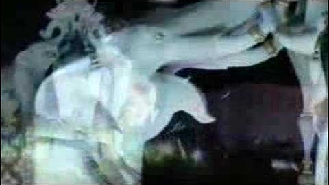 市原隼人 Hayato Ichihara- ワイルドライフ 第一話 予告篇