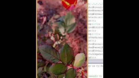 UNCC ITIS Assignment 5 Movie