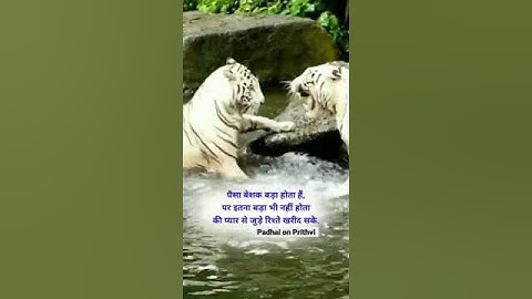 ||Power of money||Life Motivational status||@vishalupadhyay2891#pyarkerishtey #paisabadah #rishtey