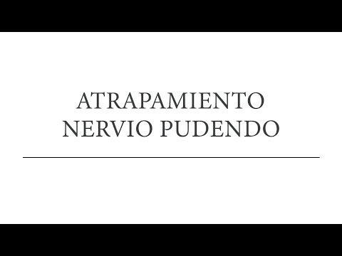 dolor perineal glenda