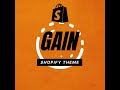 Theme Gain: Transform your store, captivate your audience.