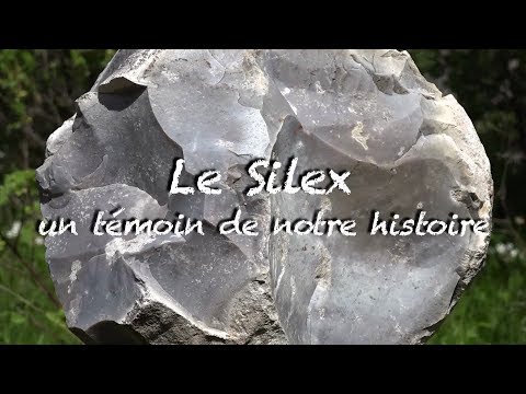 Vidéo: Qu'est-ce Que Le Silex