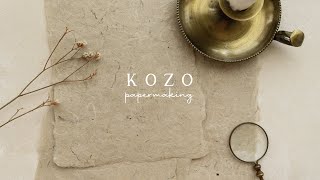 The Making of Kozo Natural Handmade Paper | Studio Vlog 12