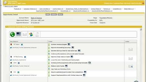 CustomerCentric Selling® for Salesforce® - Sales Process