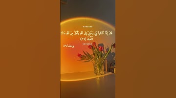 قال إنما أشكو بثي وحزني إلى الله| تلاوة هادئة🍀