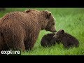 Lower River - Katmai National Park, Alaska powered by EXPLORE.org