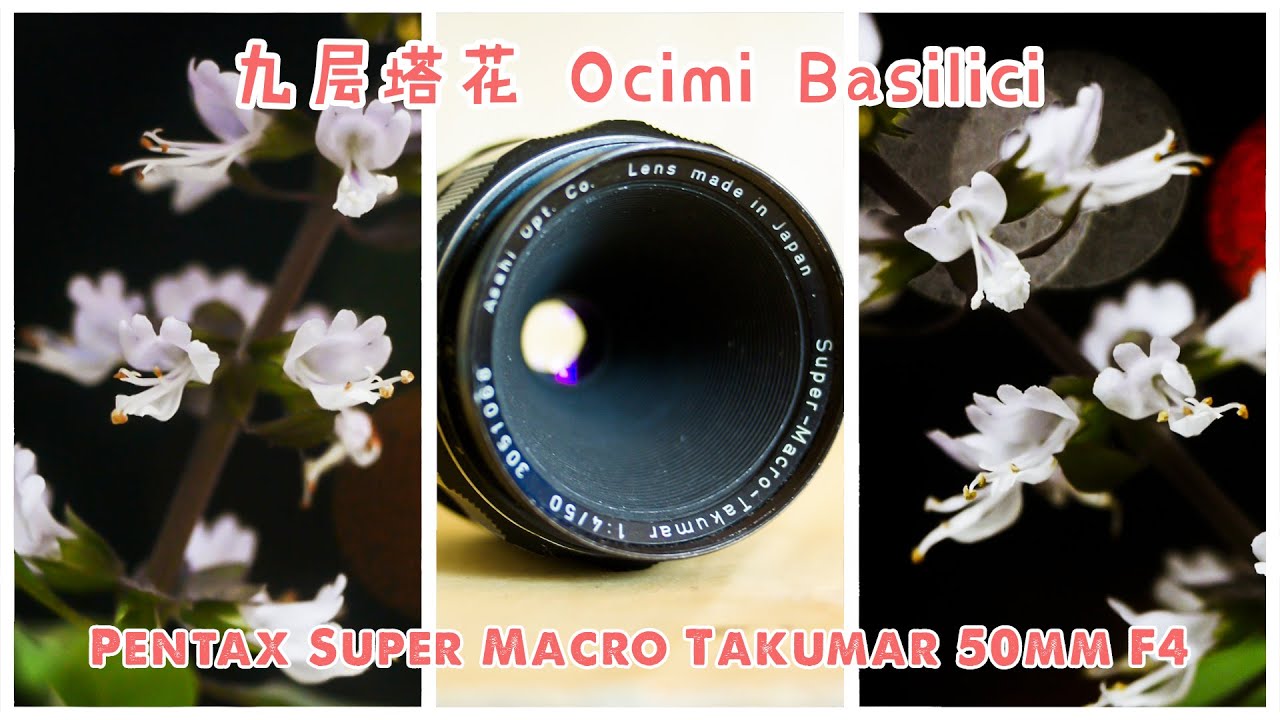 Pentax Super Macro Takumar 50mm F4 M42 - Vintage lens for Video