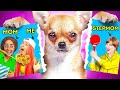 Mom vs Stepmom! Best Hacks for Pet Owners by TeenVee!