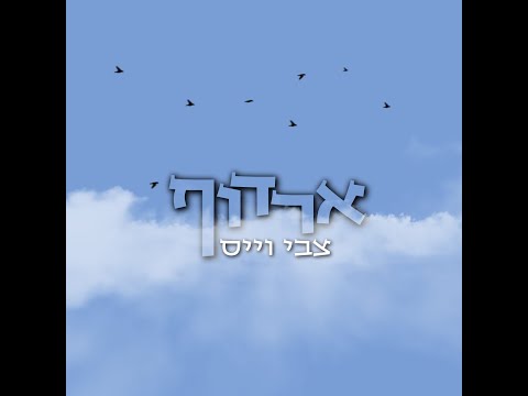 צבי וייס - ארדוף