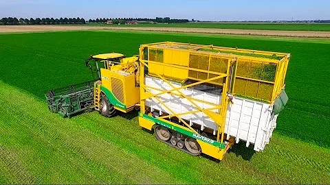 Parsley Harvesting | Ploeger MKC-2TR container mow...