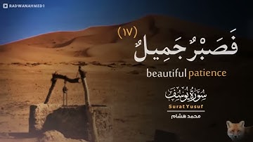 سورة يوسف كاملة   للقارئ محمد هشام   مزمار من مزامير آل داود 🌿😴    Surah Yusuf Quran