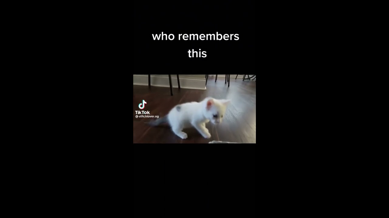  Please Stop Watching This