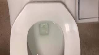 [456] Guy K. Traylor Memorial Stadium Women’s Restroom